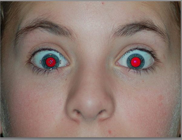Thanks to Wikipedia for this public domain photo. You can see here I've hovered over the red eye on the left to be fixed, and one click usually does the job. Sometimes, you'll need to drag it around the eye area with eyes as large as these!