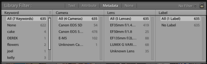 The Lightroom filter bar lets us apply "filters" to narrow our image selection down. Today, we're just concerned with filtering by keyword, the option on the far left. Clicking on any of those keyword names will narrow our images to JUST the images with those keywords.